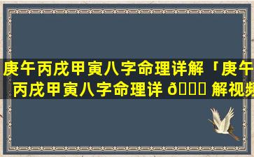 庚午丙戌甲寅八字命理详解「庚午丙戌甲寅八字命理详 🐒 解视频」